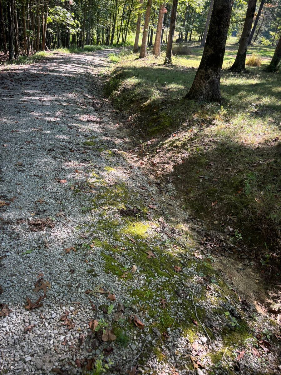 Land Clearing for TD Dirtworks in Tracy City, TN