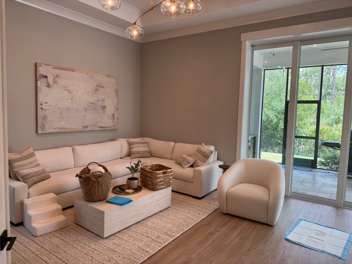 Interior Painting for Pardon My Painting in St. Petersburg, FL