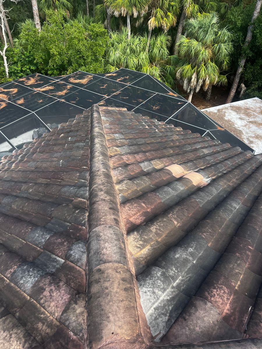 Exterior Cleaning for Barr None Wash Pro in Tampa, FL