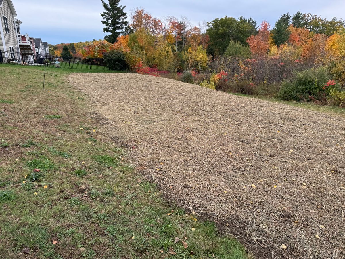 Land Clearing for AFH Earthworks in Madison, NH