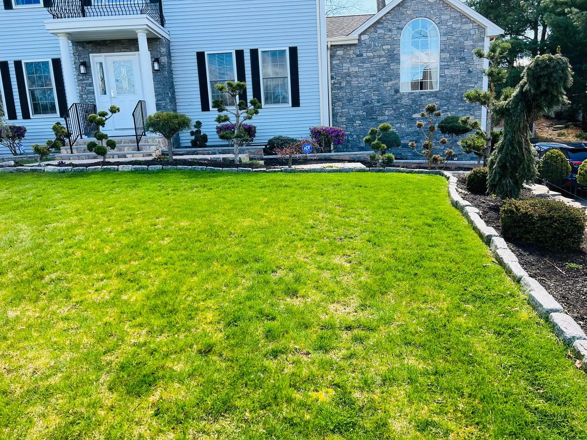  Sod Installation for JC Deleon landscaping Irrigation & Masonry in Saugus, MA