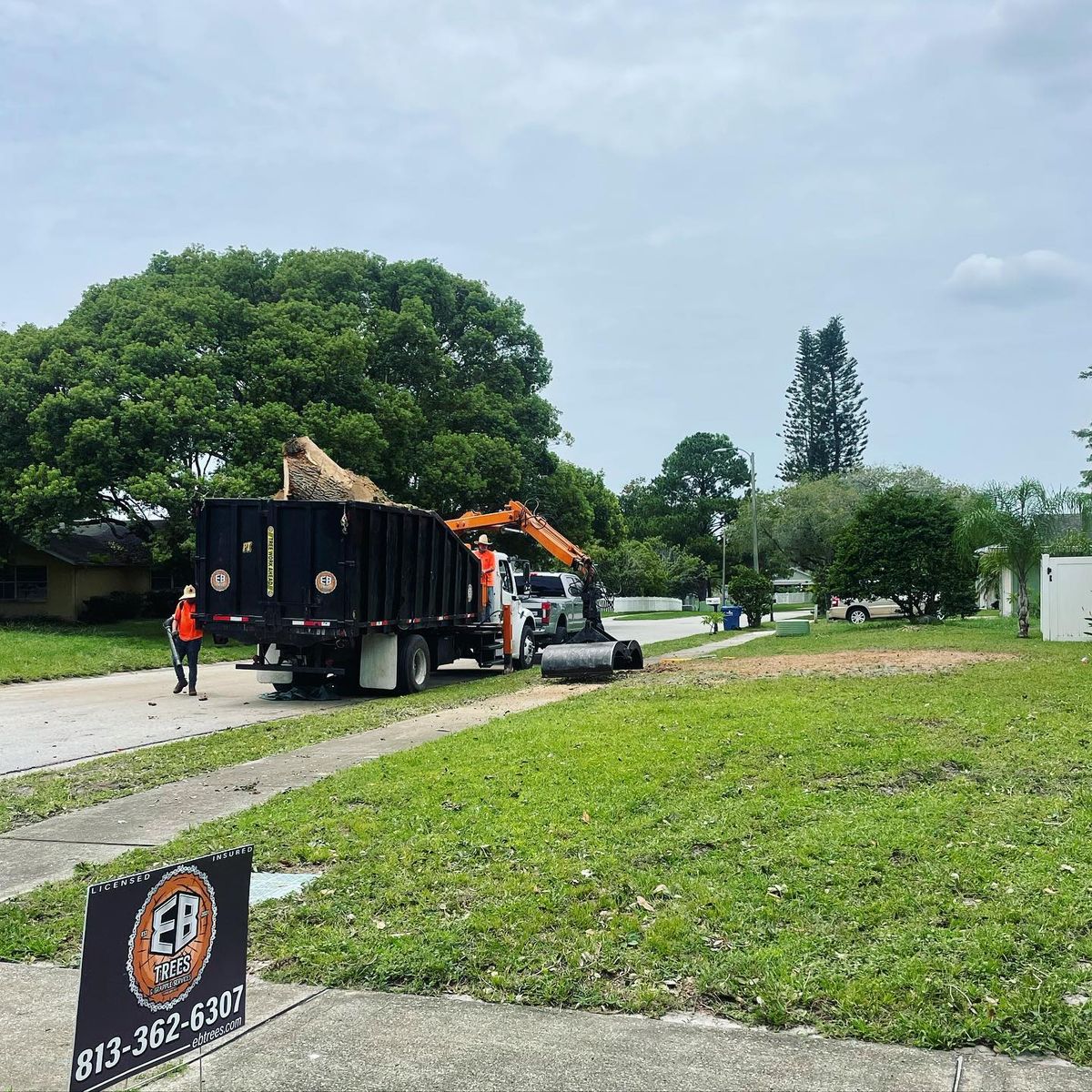 Lawn Maintenance for EB Trees and Landscape in Holiday, FL