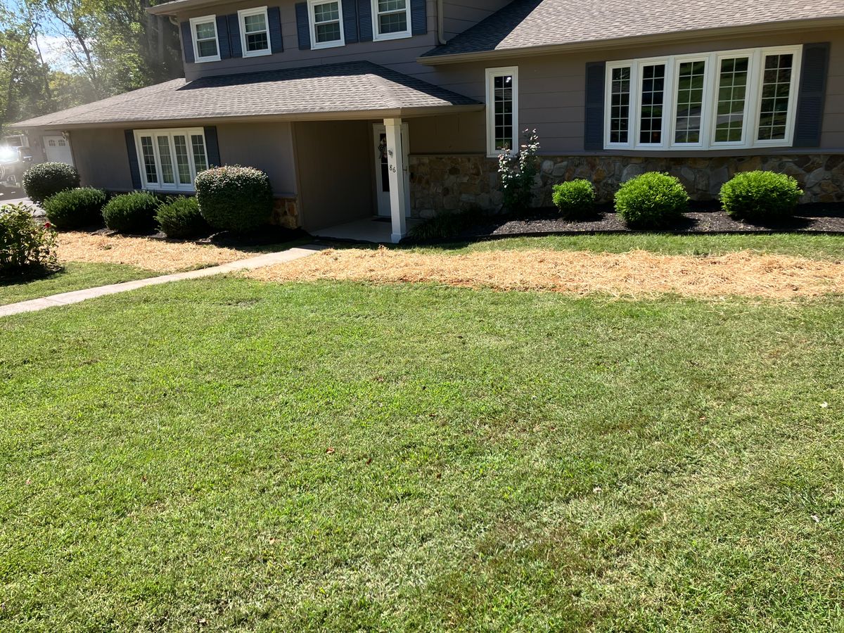 Seeding for Genesis Landworks in Bluff City, TN