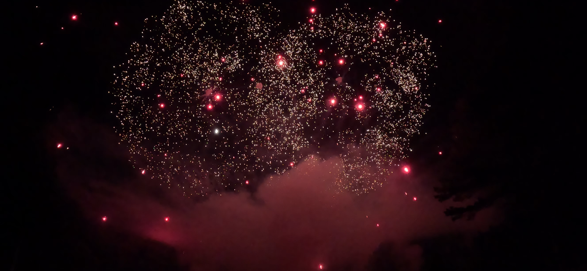Backyard Firework Displays for Sky High Pyrotechnics & Fireworks Serving South Carolina, Georgia and Delaware. Wedding fireworks display company, Fourth of July fireworks display, gender reveal fireworks display, near me, Myrtle Beach Charleston Horry County Georgetown County. in Horry County, SC