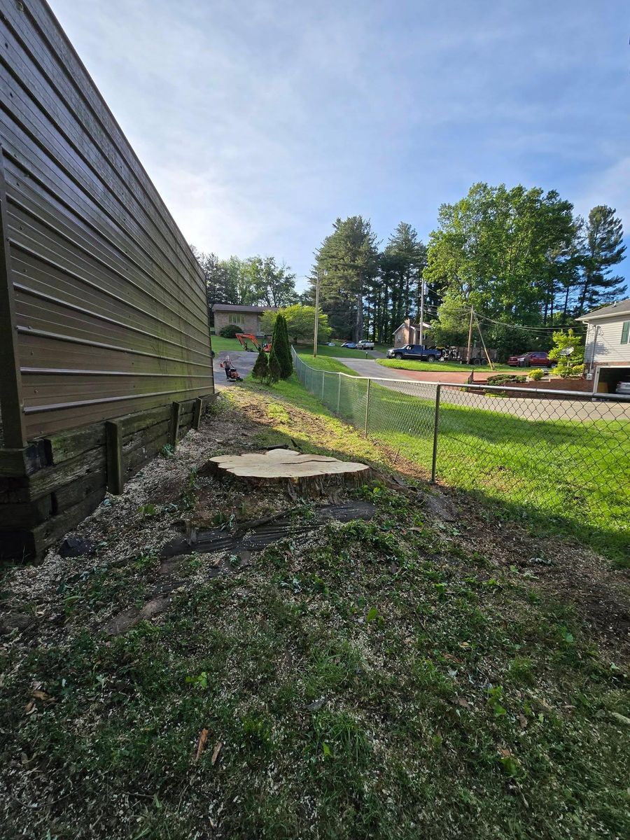Property clean up for M&L Lumber and Excavating in Jonesborough, TN
