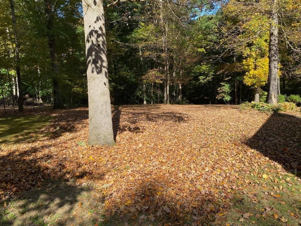 Fall Clean Up for Pro Lawn and Landscape in White Bluff, TN