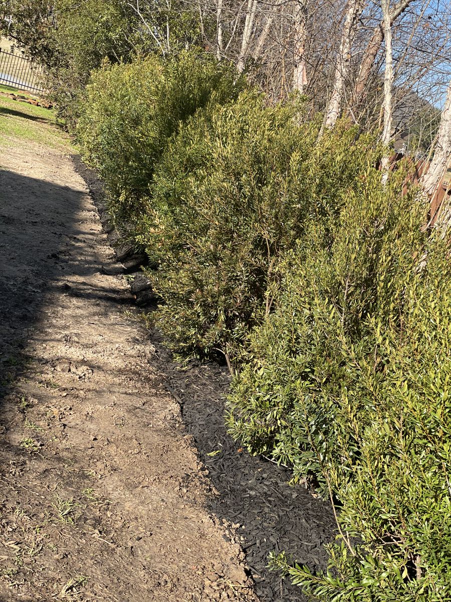 Landscape Installation for Atlas Land Design in Creekside Park, TX