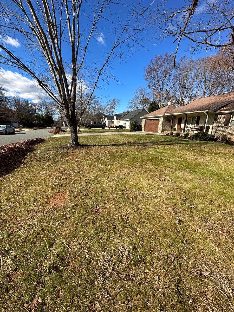 Curbside Leaf Collection and Fall Clean Ups for Kyle's Lawn Care in Kernersville, NC