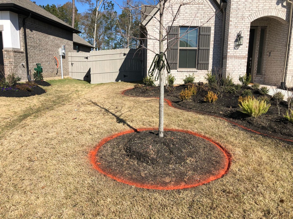 Landscaping for Texas Curb N Borders in Houston, TX