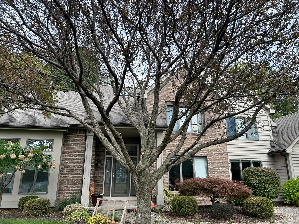 Tree trimming for S.H. Tree Service LLC in Hilton, NY