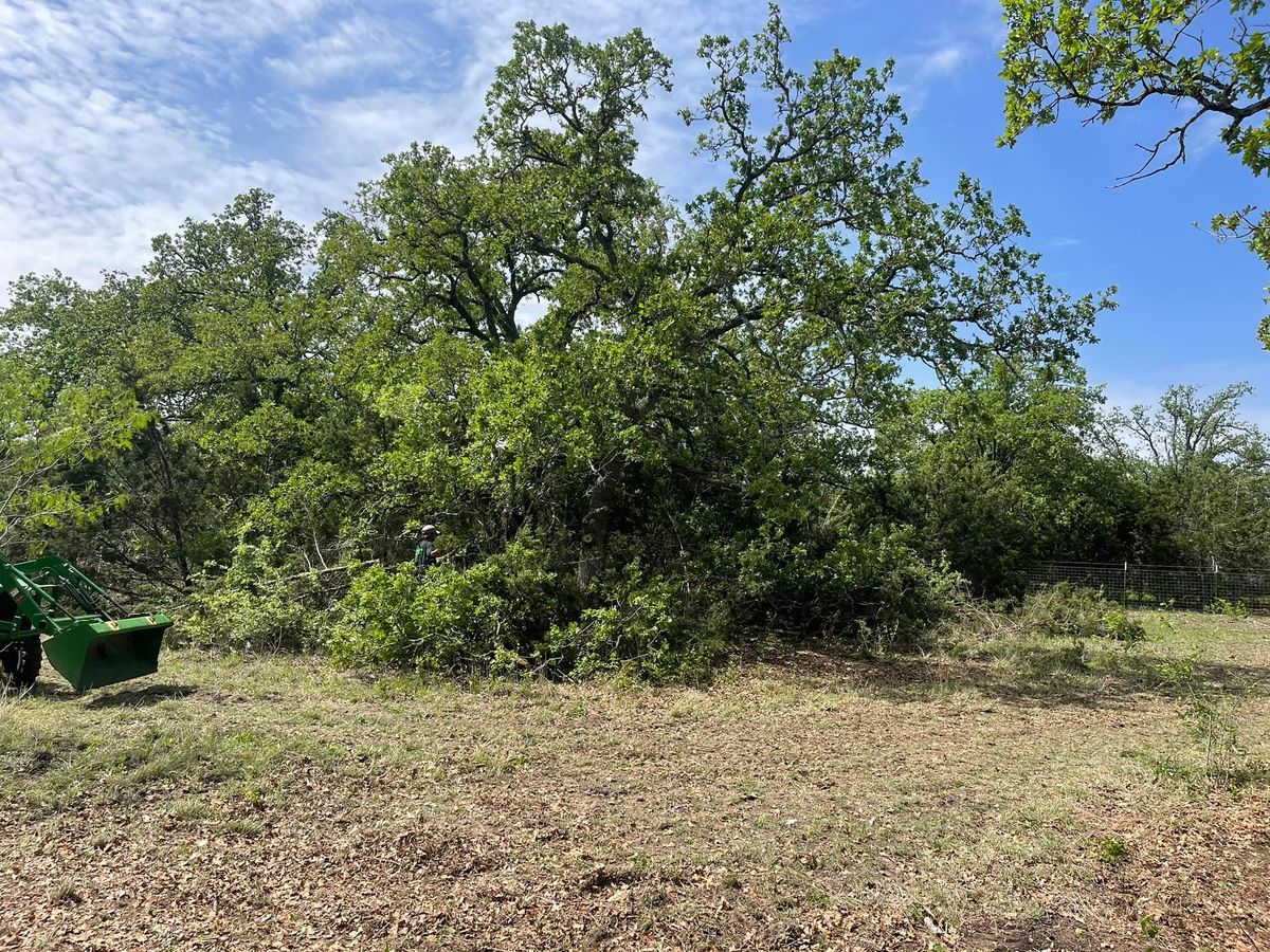 Land Clearing for CrossCut in Kempner, TX