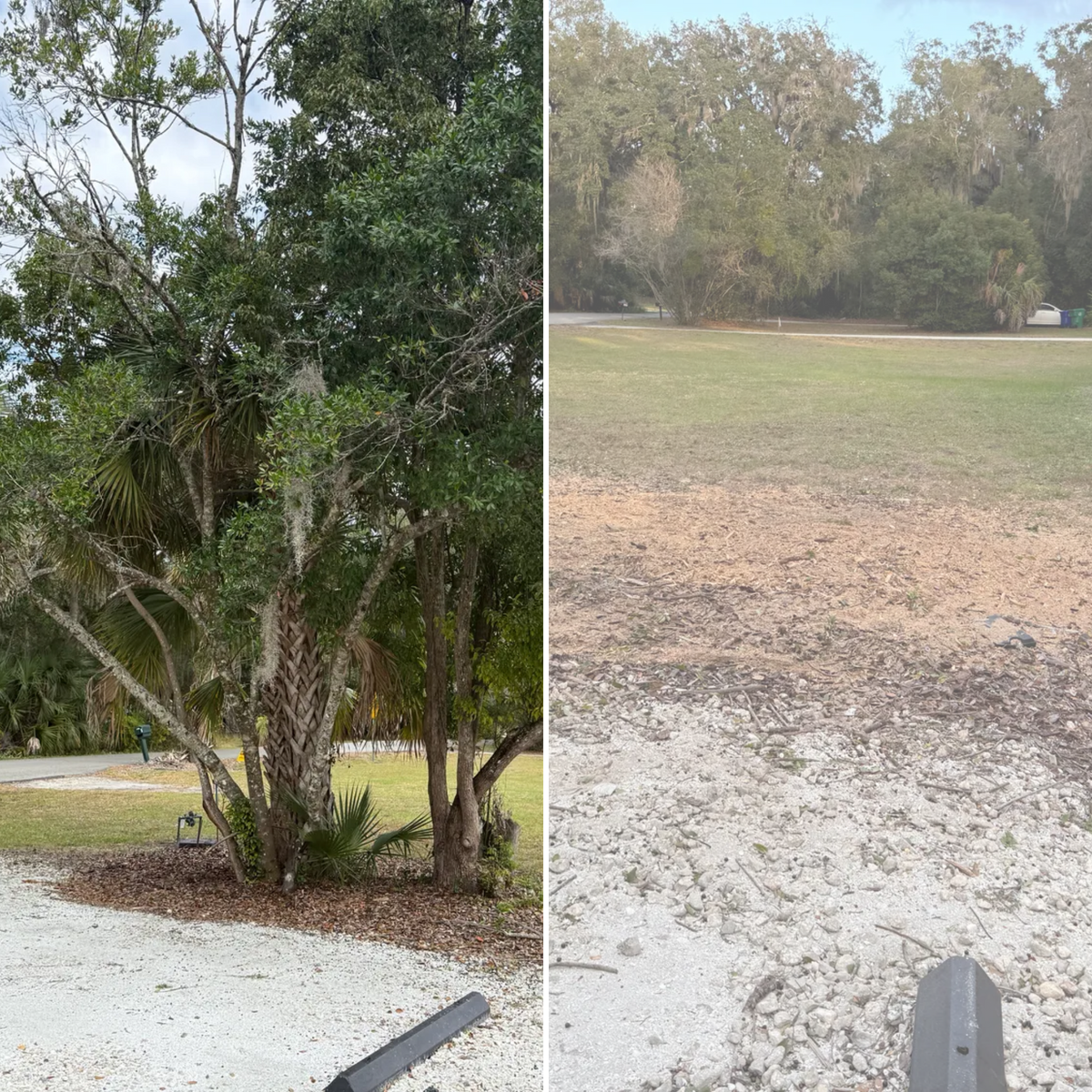Land Clearing for Amerigrown Tree And Lawn in Apopka, FL