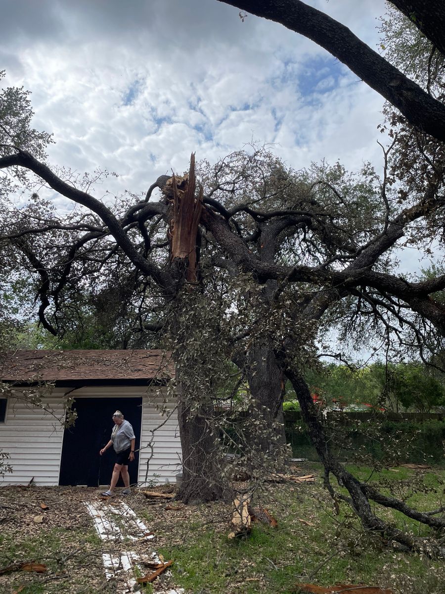 24 hour emergency services for Z’s Trees LLC in Grey Forest, TX