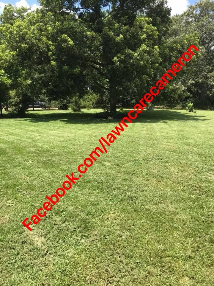 Lawn Maintenance And Landscaping for Cameron's General Services in Mansfield, GA