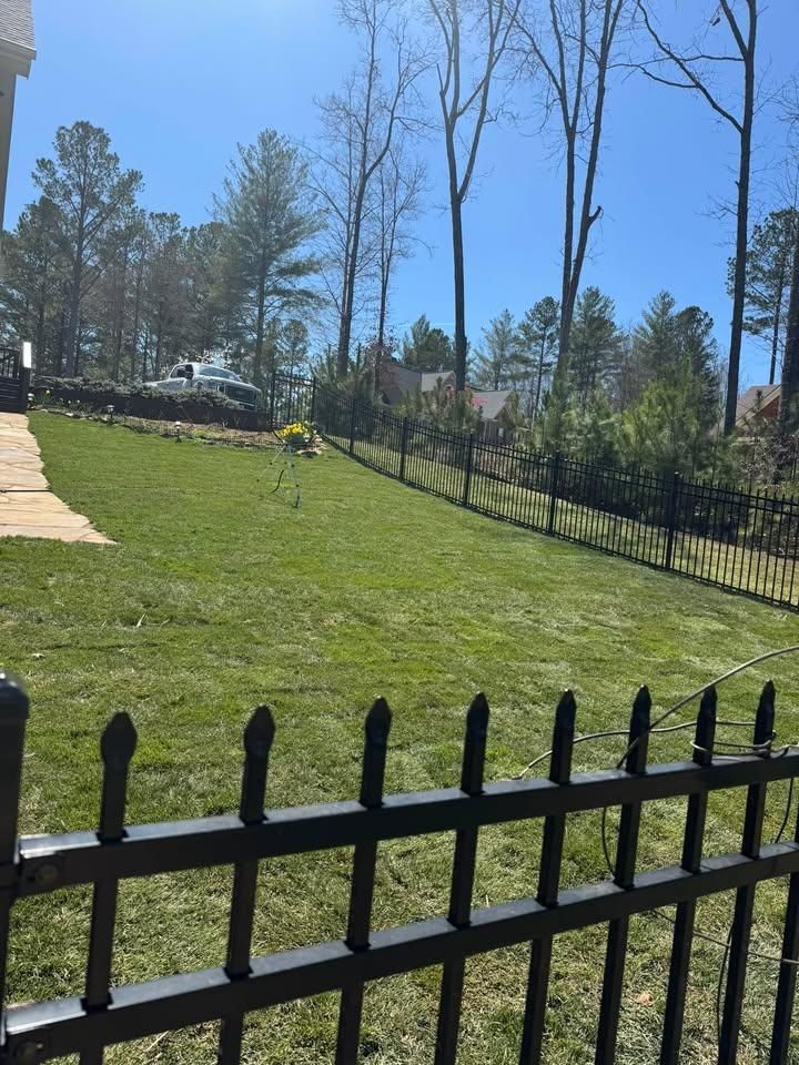 Tree Trimming for C & D Landscaping Services LLC in Blairsville, GA