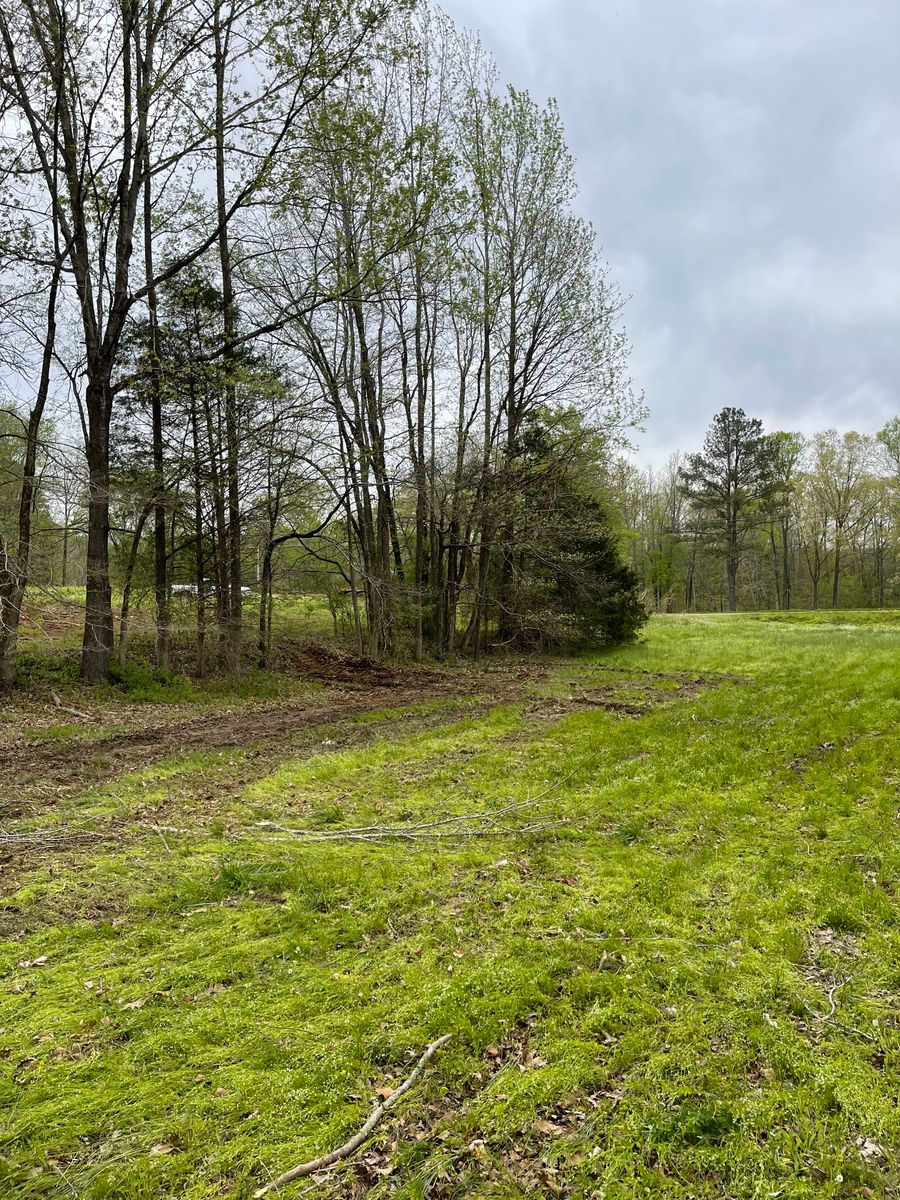 Forestry Mulching for Maness Trucking & Excavation in Lexington, TN