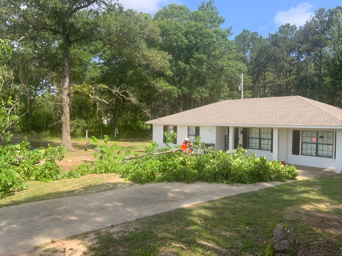 Tree Services for Broadway & McMullen Construction in Hattiesburg, MS