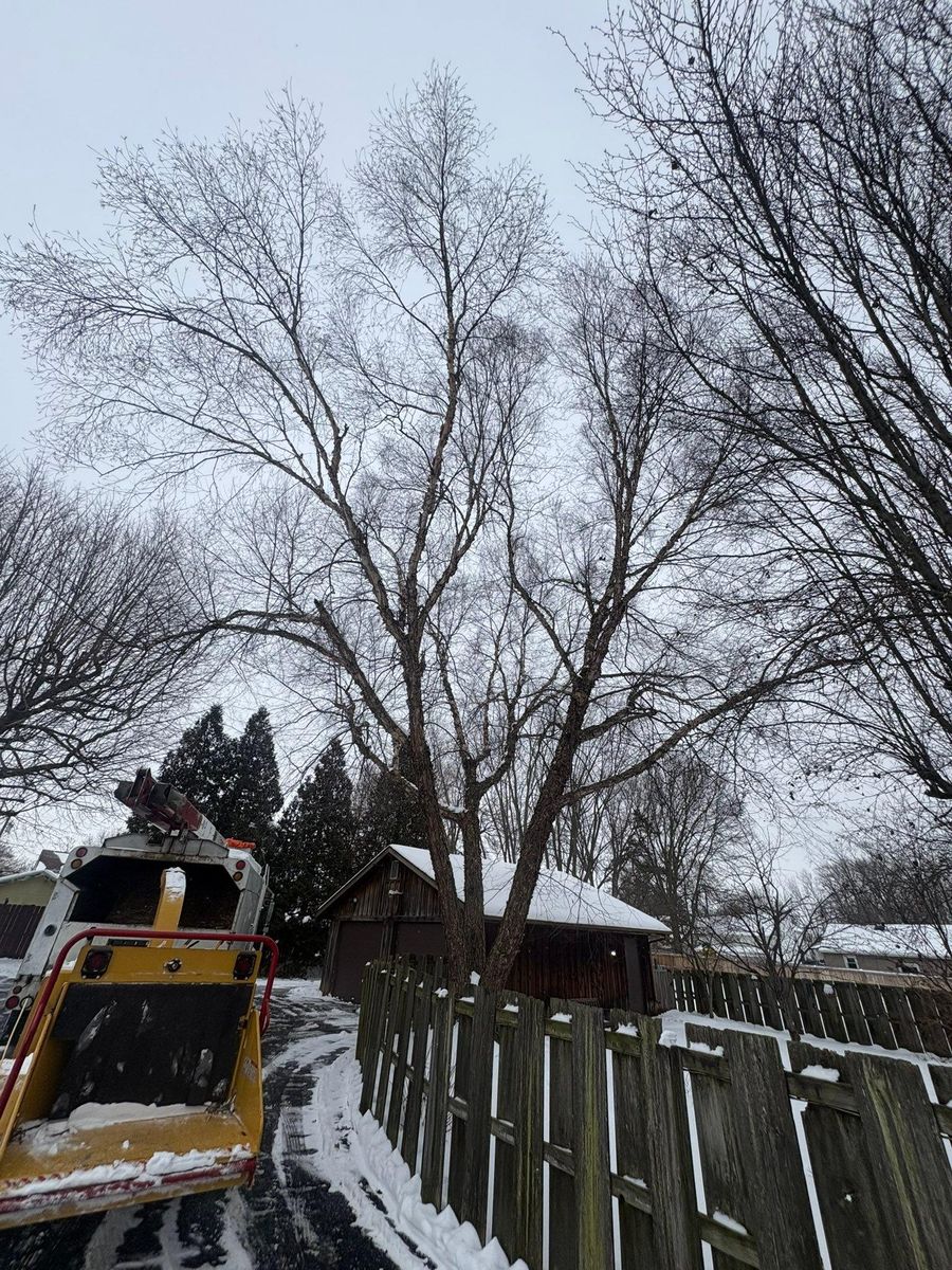 Fall Clean Up for Dig-It Tree Company in Mason, OH