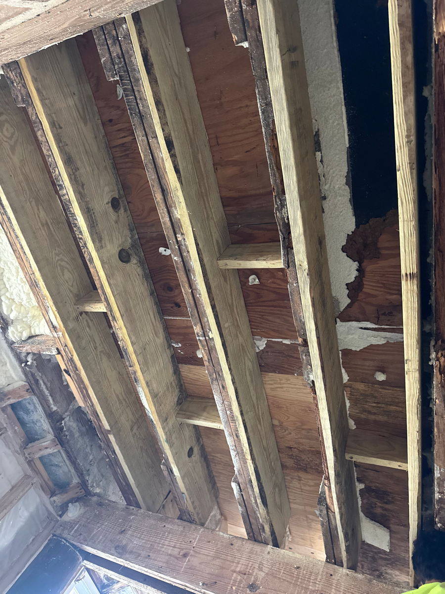 Foundation Repair for South Texas Foundation Repair in San Antonio, Texas