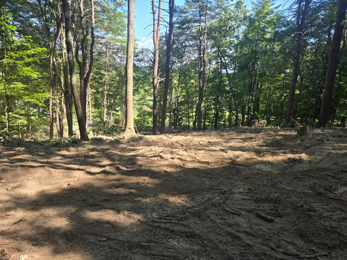 Land Clearing for MJS Excavating in Hardwick, MA