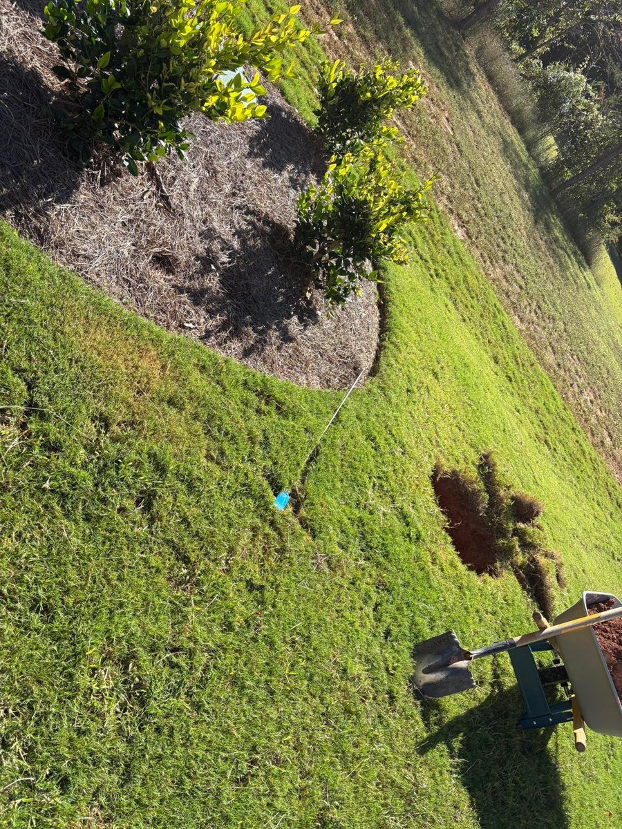 Site Preparation for Grading & Clearing Services in Dawsonville, GA