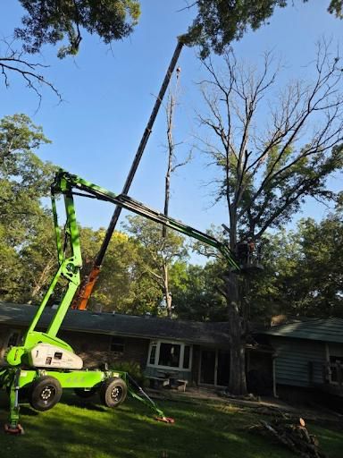 Crane Assisted Tree Removal for Olson Tree Service, Inc in Rockford, IL