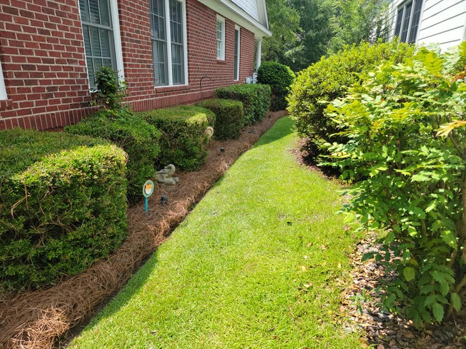 Shrub Trimming for 1 Man Does It Lawn Service in Columbia, SC