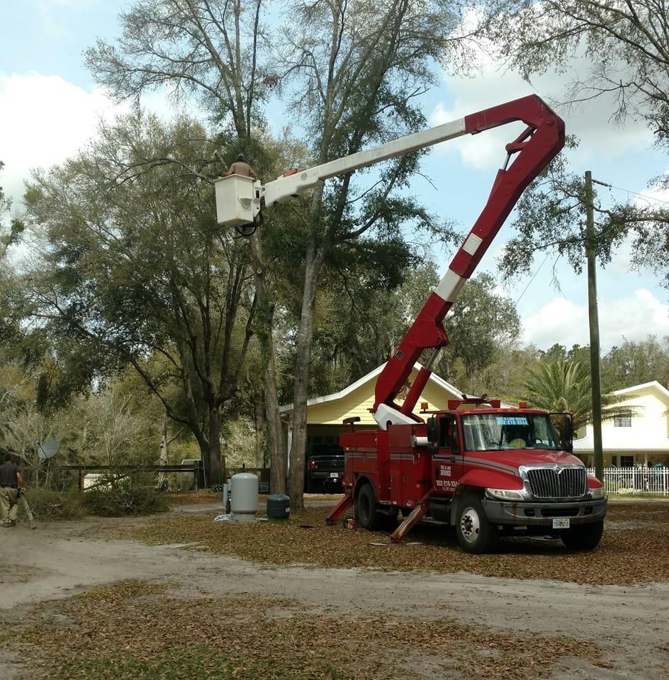 Tree Trimming for Asbell's Tree & Land Services in Gilchrist County, FL