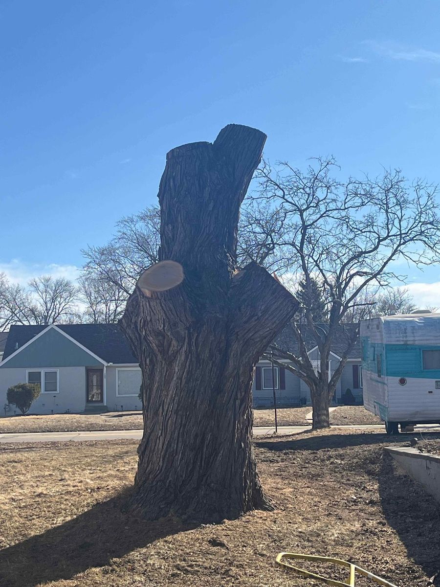 Tree Removal for K and Z Tree Care in Isanti County, MN