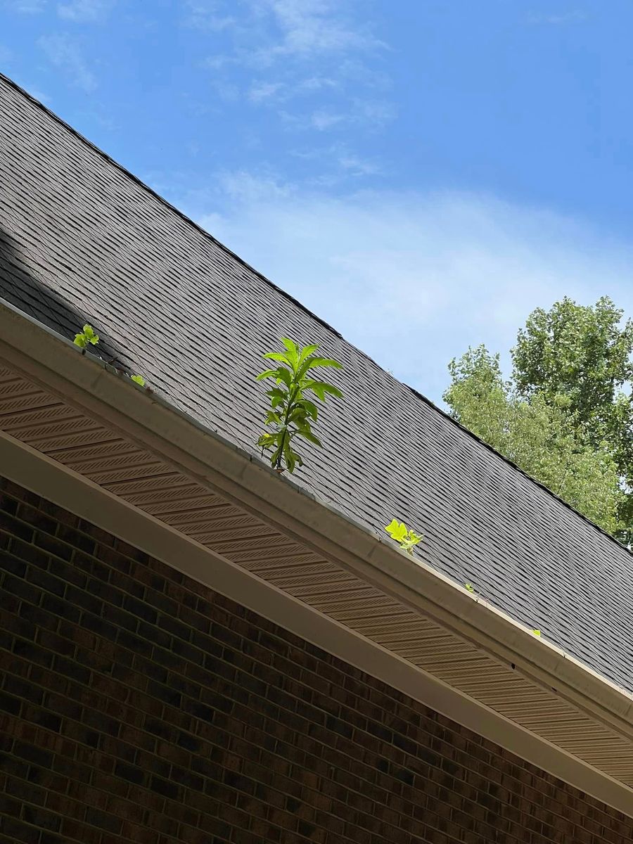 Commerical Gutters for Ultimate Gutters in Charlotte, NC