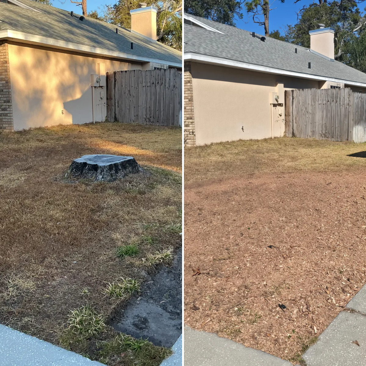 Land Clearing for Amerigrown Tree And Lawn in Apopka, FL