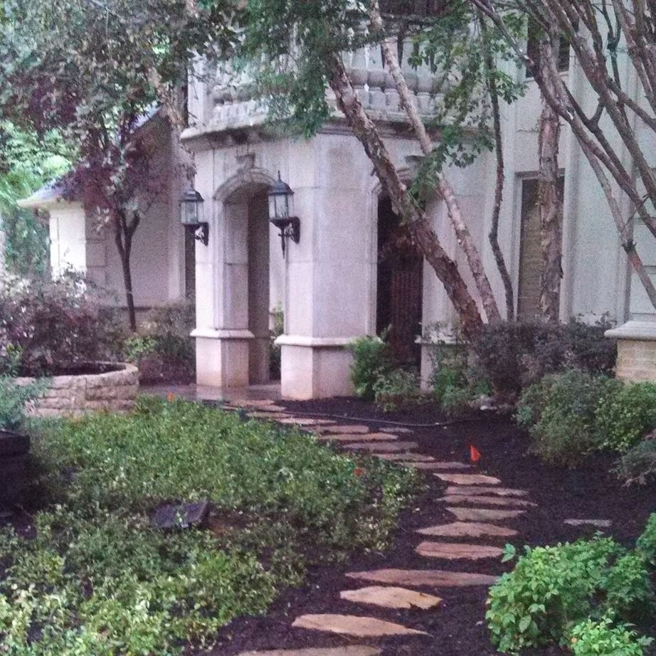 Tree & Shrub Care for Green City Landscape and Lawn Care LLC in Mesquite, TX