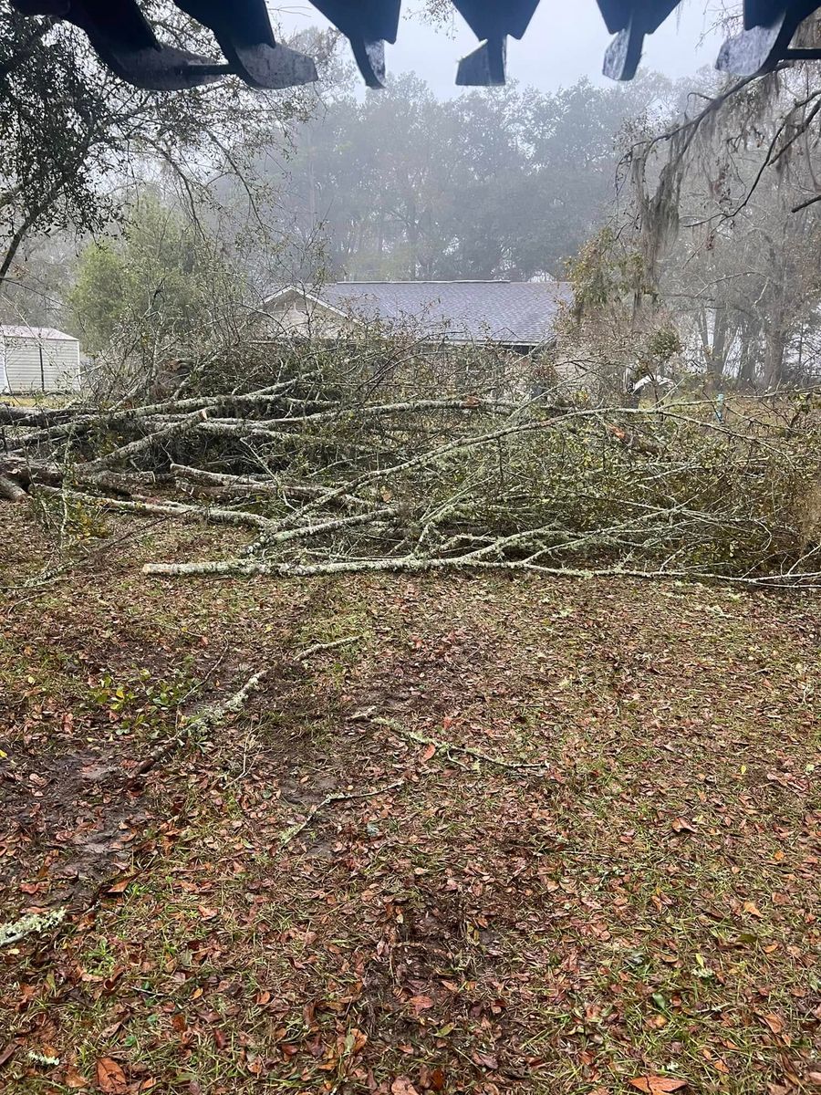 Stump Removal for B&C Tree Trimming Services in Jasper, FL