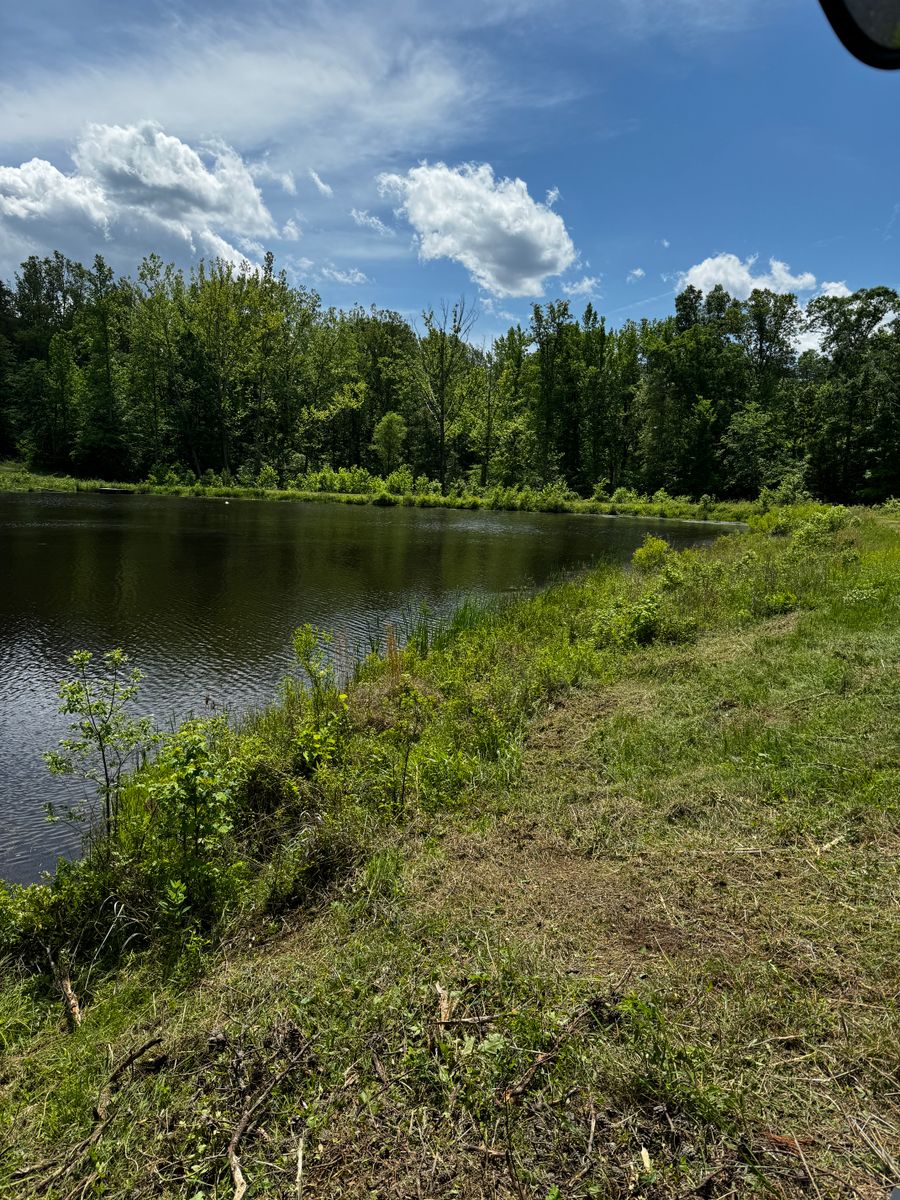 Land Clearing for Cone Grading and Land Clearing in Summerfield, NC