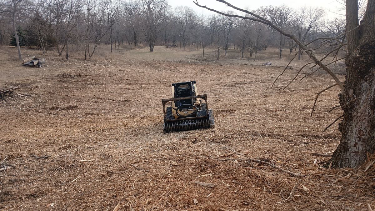 Land Clearing for Willing Trucking & Excavating in Evansville, WI