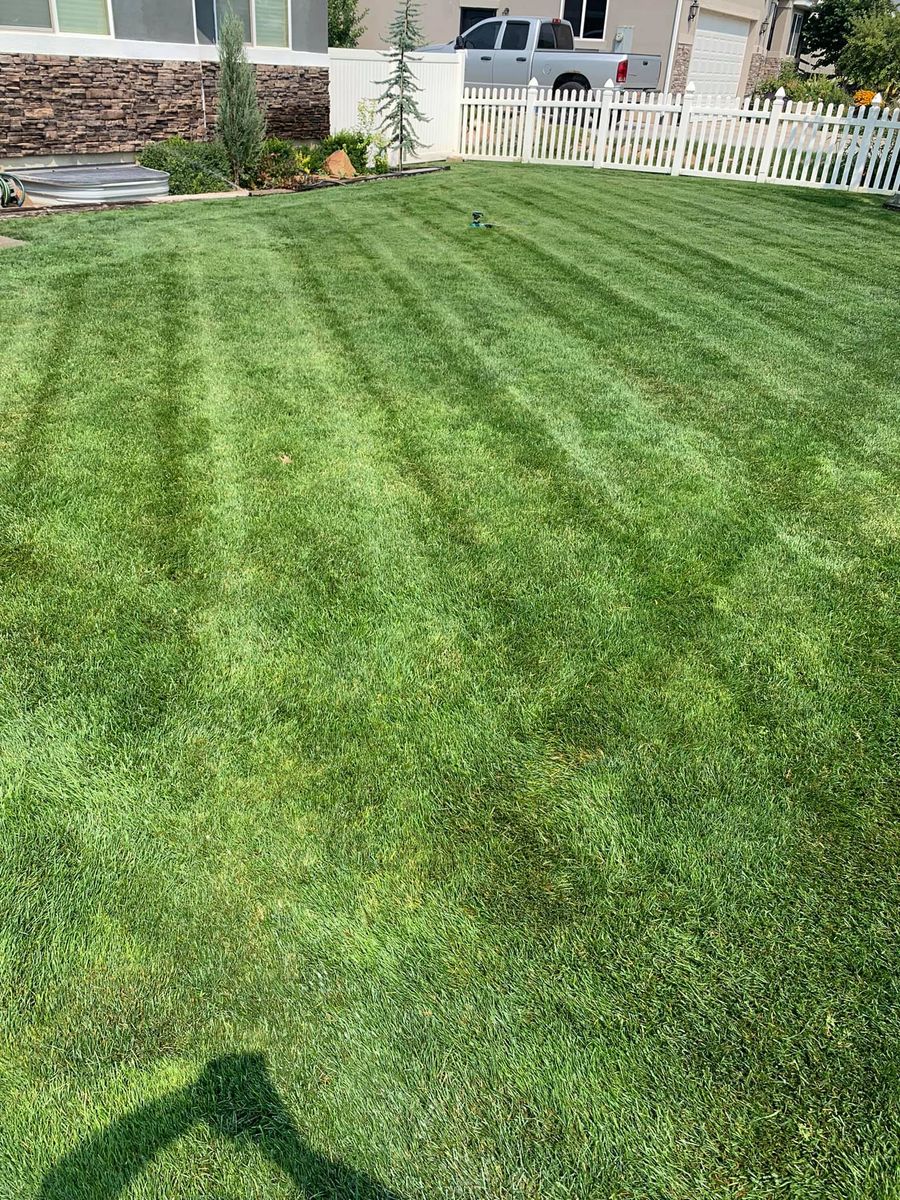Mowing for Platinum Lawn Service in Santaquin, UT