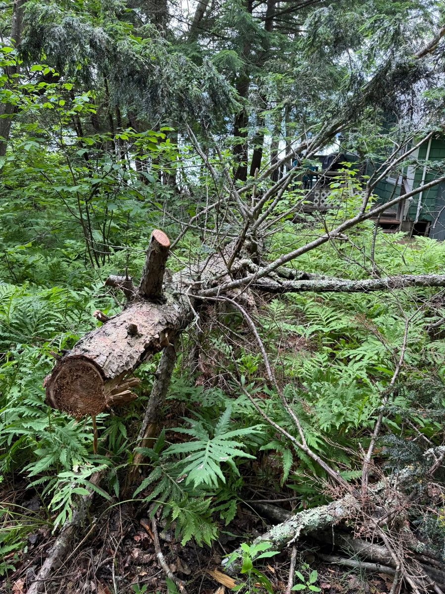 Fall Clean Up for CWB Lawn Care & Landscaping in Franklin County, ME