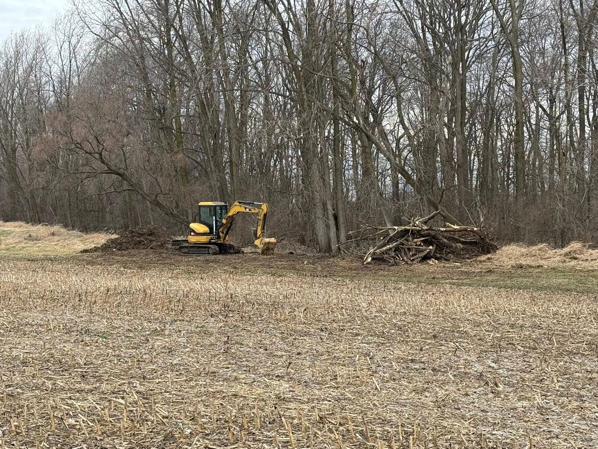 Land Clearing for Shafer Excavating in 46792, IN