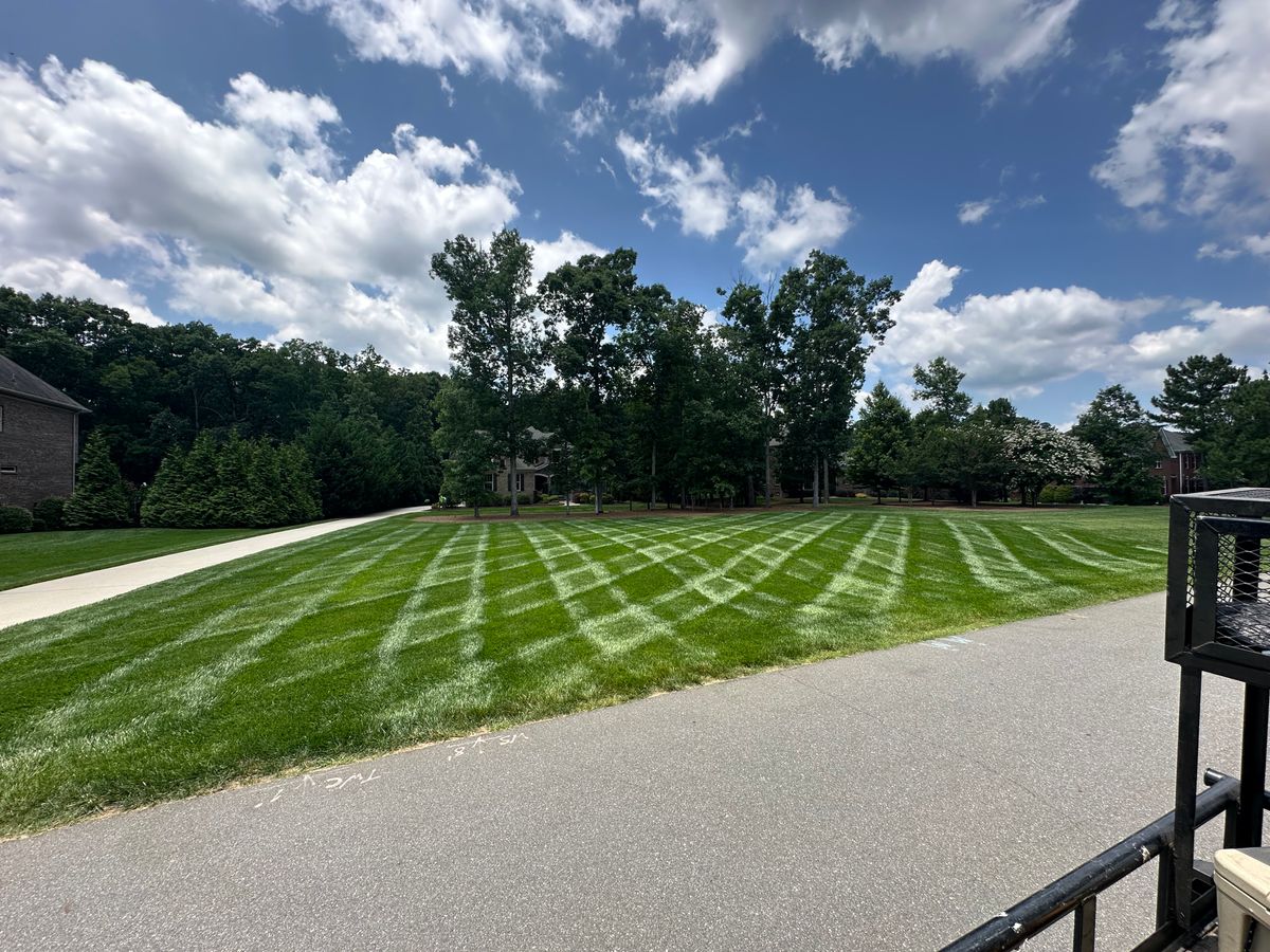 Mowing for Pecina Pine Needles in Monroe, NC
