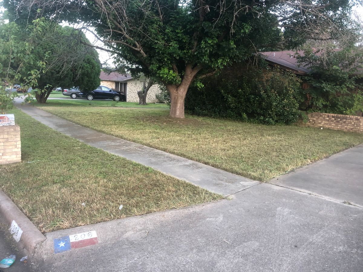 Commercial Lawn Care for D’s Lawncare in Killeen, TX
