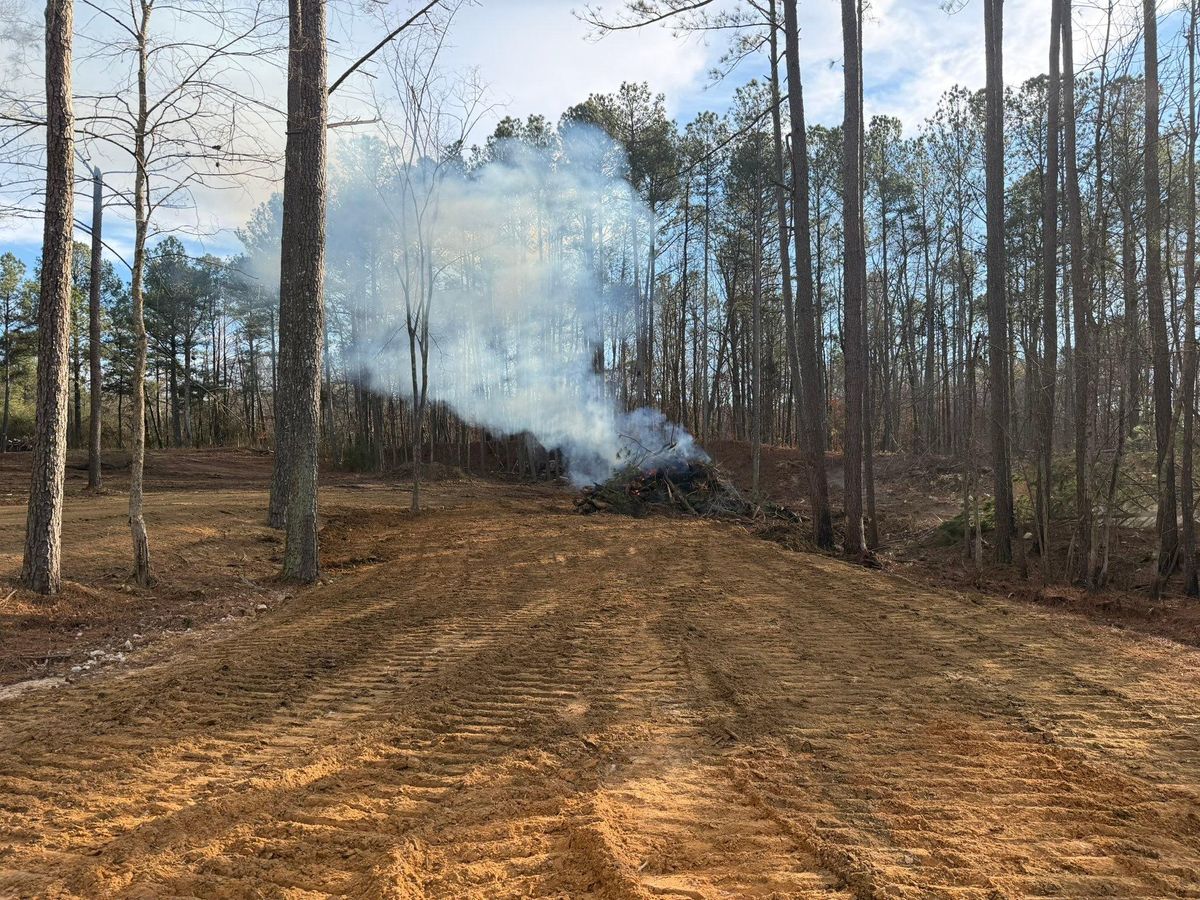 Forestry Mulching for Collins Constructors in Fyffe, AL