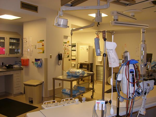 Maintenance for Colossal Construction and Consulting in Addison, TX