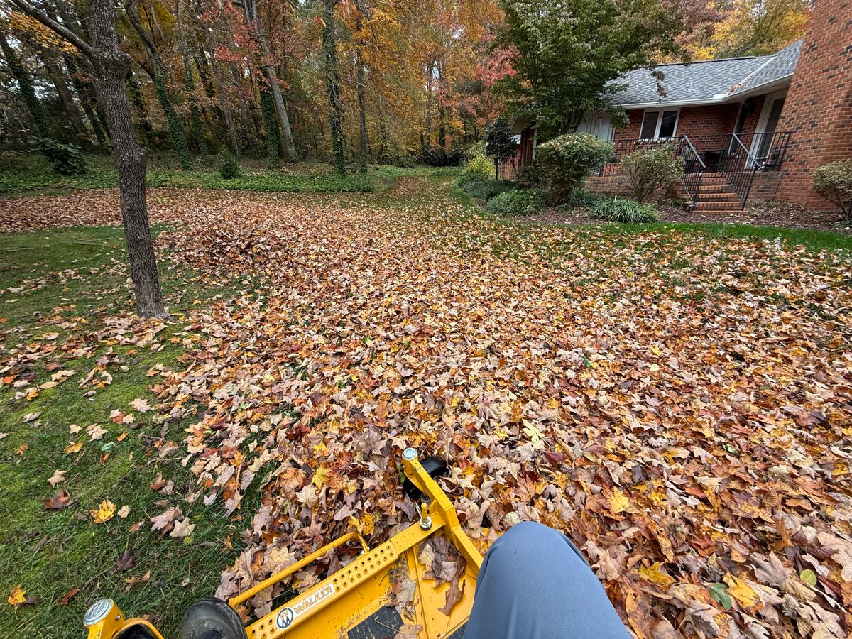 Property Clean Up & Leaf Removal for Gallimore’s Lawn Care in Thomasville, NC