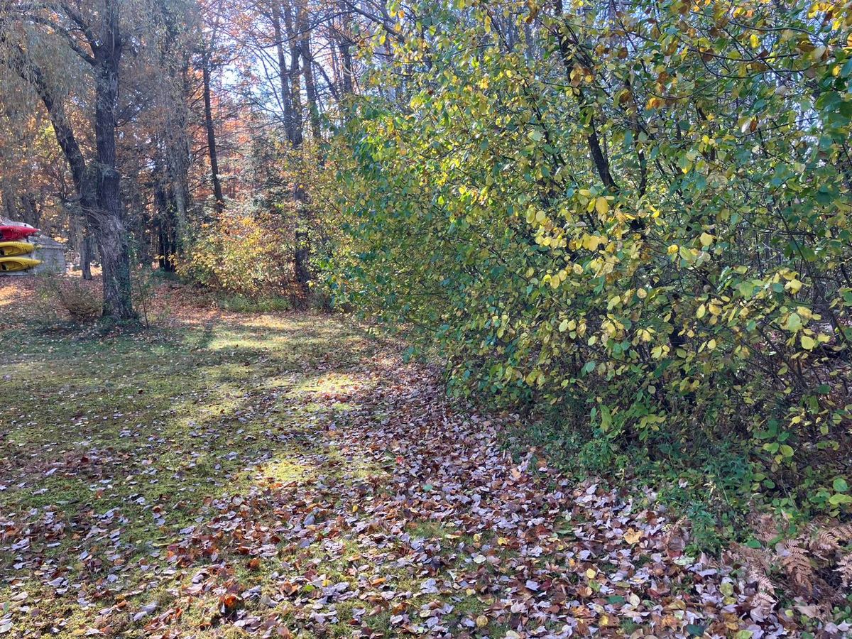 Yard Cleaning for Bruce's Removal Demolition and Tree Services in Gilsum, NH