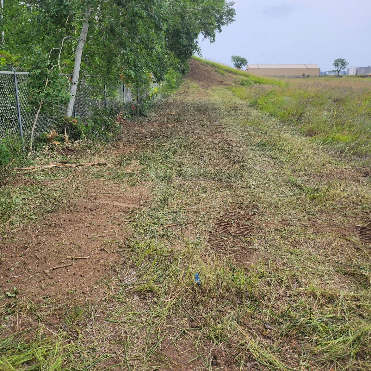 Brush Control for Central Minnesota Brush Control and Landscaping in Brook Park, MN