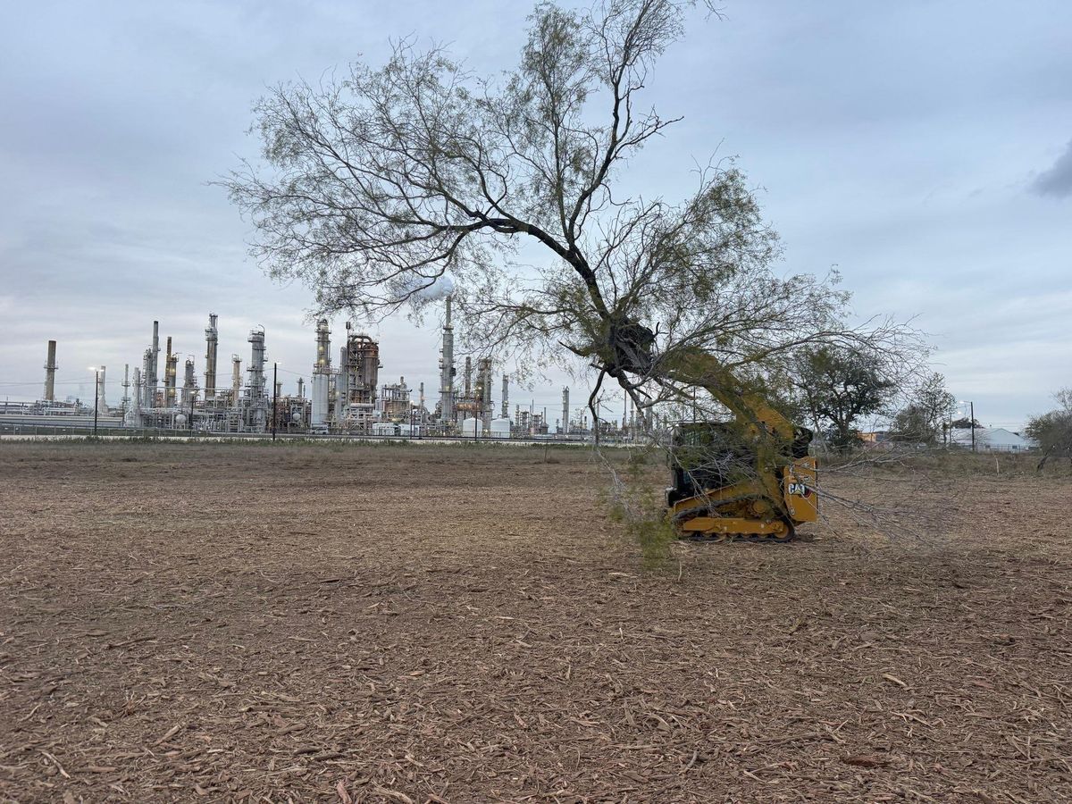 Site Work for Strause Land Improvement & Construction in George West, TX