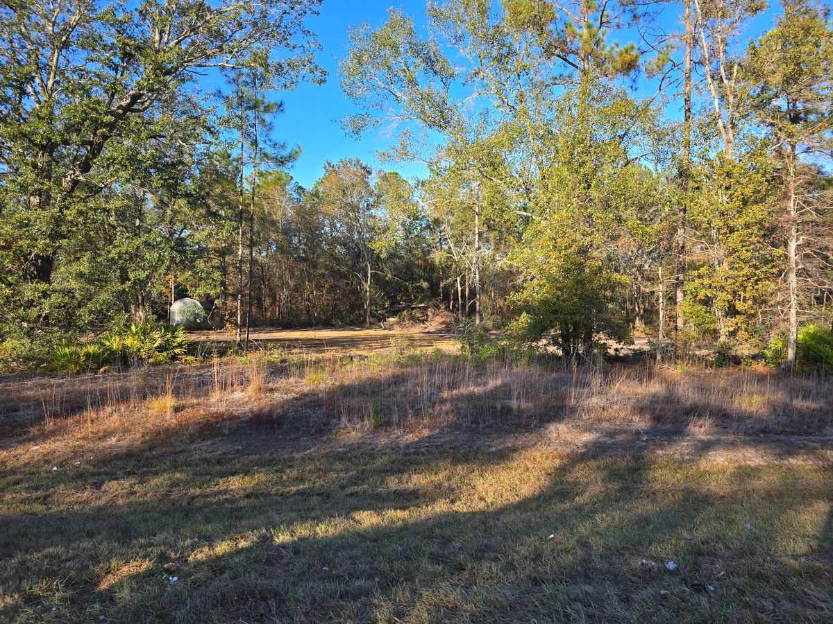 Land Clearing for Giles Land Management, LLC in Hahira, GA