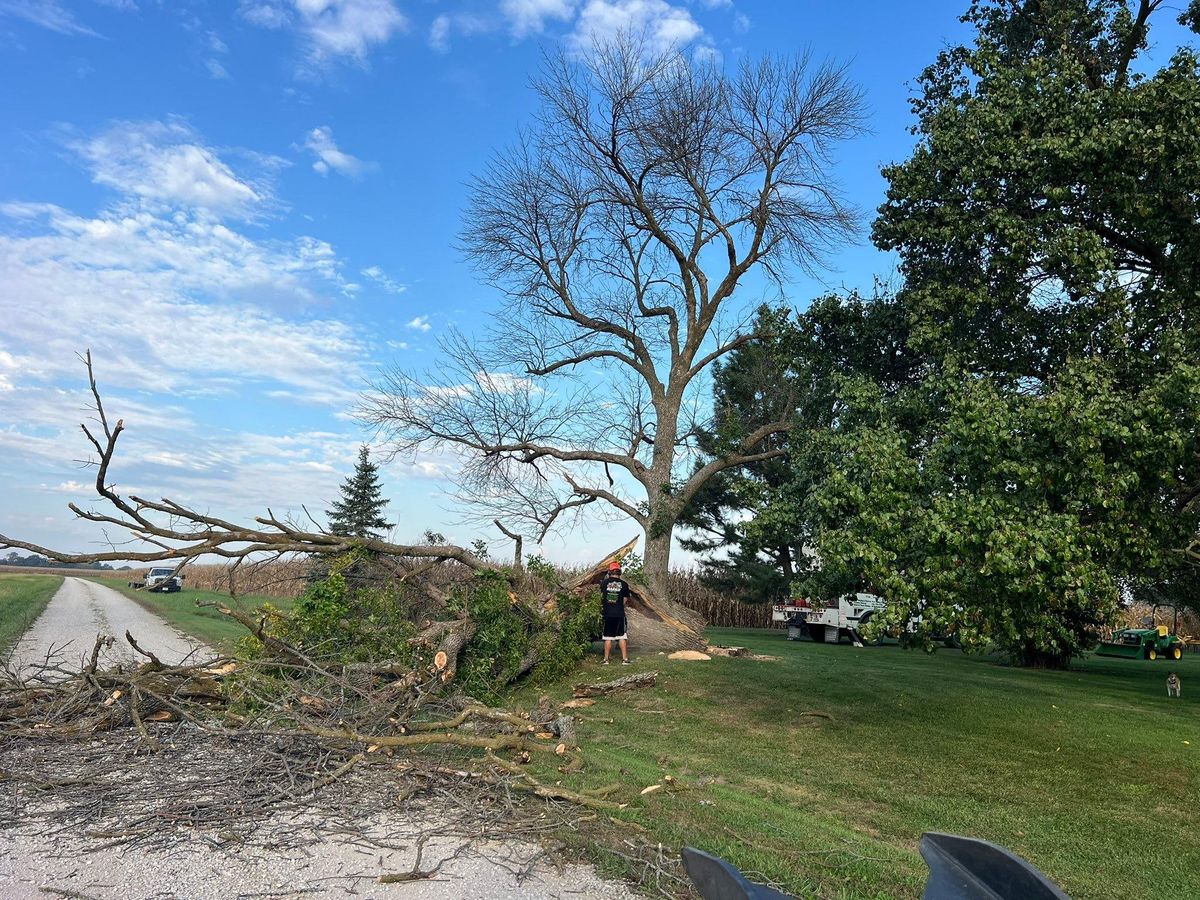 Property Clean Up for Baker Professional Services LLC in Shelbina, MO