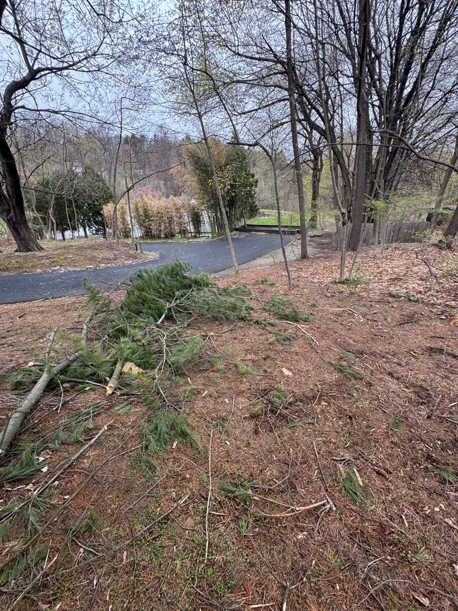 Seasonal Clean Up for Landscape & Lawn Care Pros in Temple, PA