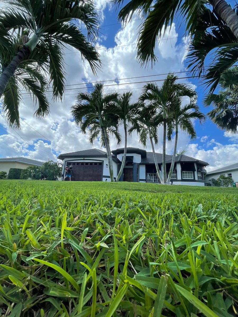 Lawn Maintenance for Lawn Caring Guys in Cape Coral, FL